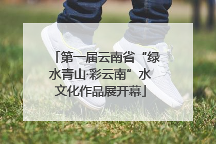 第一届云南省“绿水青山·彩云南”水文化作品展开幕