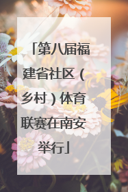第八届福建省社区（乡村）体育联赛在南安举行