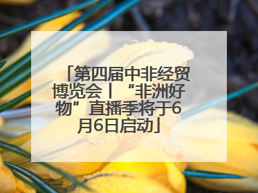 第四届中非经贸博览会丨“非洲好物”直播季将于6月6日启动