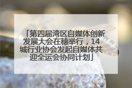 第四届湾区自媒体创新发展大会在穗举行，14城行业协会发起自媒体共迎全运会协同计划
