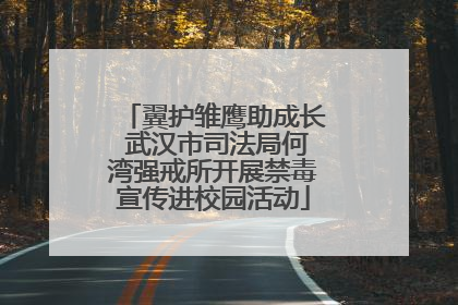 翼护雏鹰助成长 武汉市司法局何湾强戒所开展禁毒宣传进校园活动