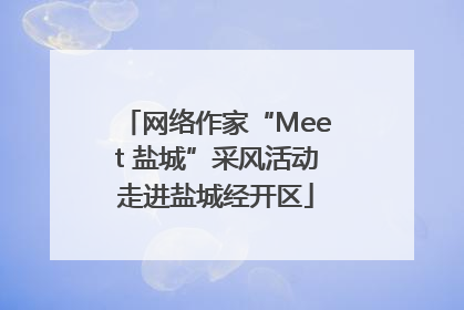 网络作家“Meet 盐城”采风活动走进盐城经开区