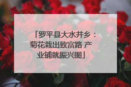 罗平县大水井乡：菊花栽出致富路 产业铺就振兴图