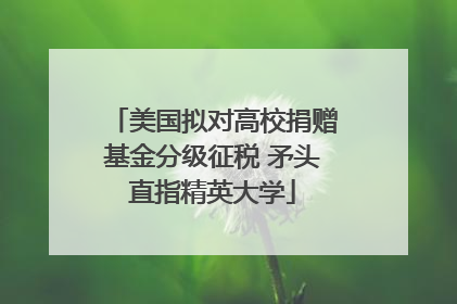 美国拟对高校捐赠基金分级征税 矛头直指精英大学