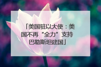 美国驻以大使：美国不再“全力”支持巴勒斯坦建国