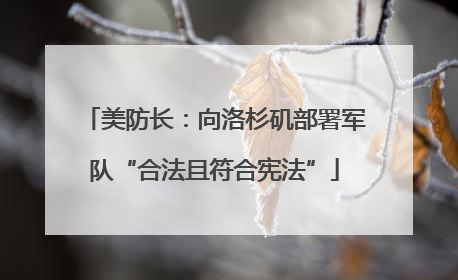 美防长：向洛杉矶部署军队“合法且符合宪法”