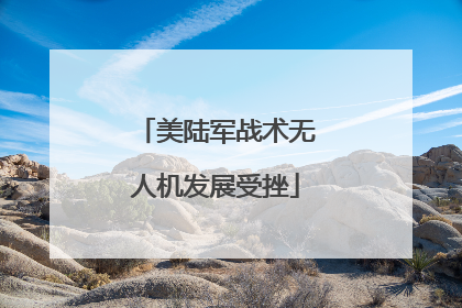 美陆军战术无人机发展受挫