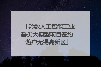 羚数人工智能工业垂类大模型项目签约落户无锡高新区