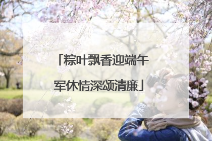 粽叶飘香迎端午 军休情深颂清廉