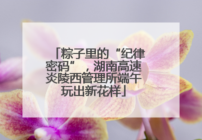 粽子里的“纪律密码”，湖南高速炎陵西管理所端午玩出新花样