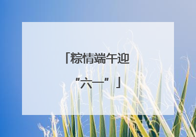 粽情端午迎“六一”