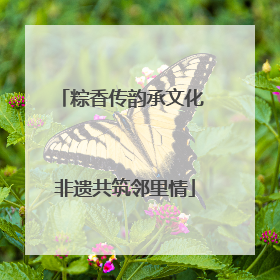 粽香传韵承文化 非遗共筑邻里情