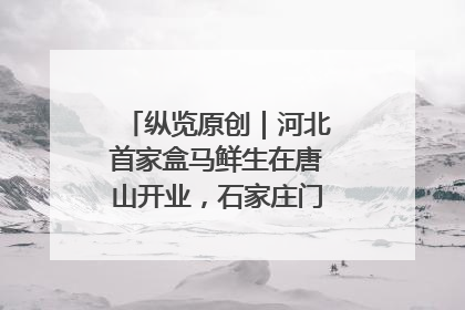 纵览原创｜河北首家盒马鲜生在唐山开业，石家庄门店预计8月开业