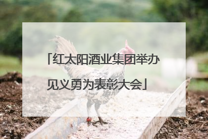 红太阳酒业集团举办见义勇为表彰大会