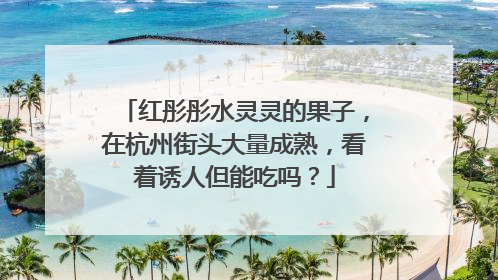 红彤彤水灵灵的果子，在杭州街头大量成熟，看着诱人但能吃吗？