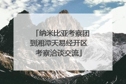 纳米比亚考察团到湘潭天易经开区考察洽谈交流