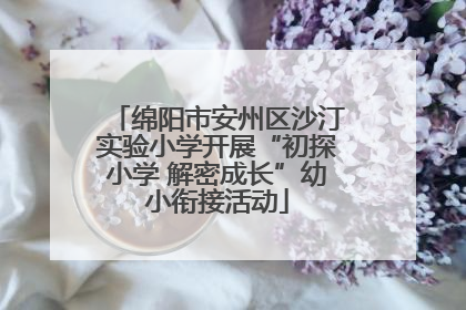 绵阳市安州区沙汀实验小学开展“初探小学 解密成长”幼小衔接活动