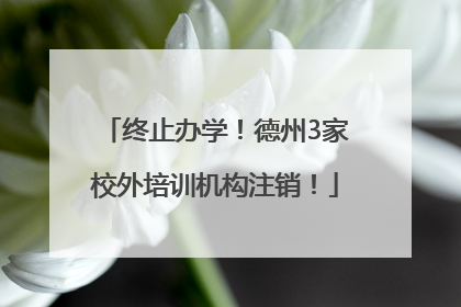 终止办学！德州3家校外培训机构注销！