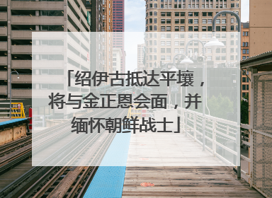 绍伊古抵达平壤，将与金正恩会面，并缅怀朝鲜战士