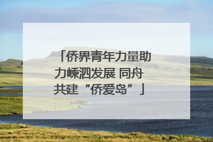侨界青年力量助力嵊泗发展 同舟共建“侨爱岛”