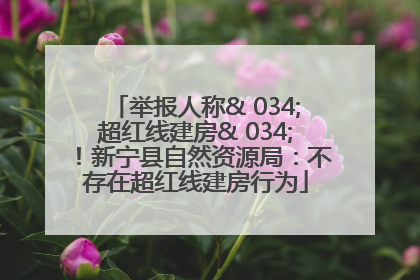 举报人称& 034;超红线建房& 034;！新宁县自然资源局：不存在超红线建房行为
