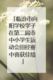 临汾市向阳学校学子在第二届市中小学生运动会田径赛中喜获佳绩