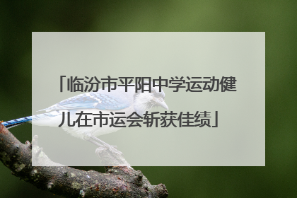 临汾市平阳中学运动健儿在市运会斩获佳绩