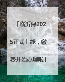 临沂保2025正式上线，缴费开始办理啦