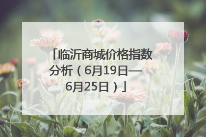 临沂商城价格指数分析（6月19日—6月25日）