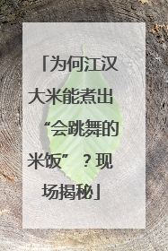为何江汉大米能煮出“会跳舞的米饭”？现场揭秘