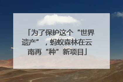 为了保护这个“世界遗产”，蚂蚁森林在云南再“种”新项目