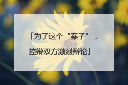 为了这个“案子”，控辩双方激烈辩论