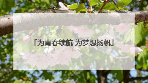 为青春续航 为梦想扬帆