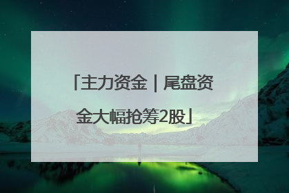 主力资金｜尾盘资金大幅抢筹2股