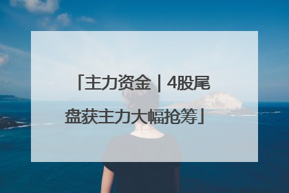 主力资金｜4股尾盘获主力大幅抢筹