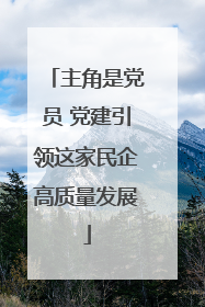 主角是党员 党建引领这家民企高质量发展