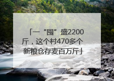一“囤”盛2200斤，这个村470多个新粮仓存麦百万斤