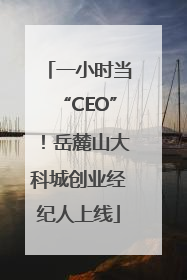 一小时当“CEO”！岳麓山大科城创业经纪人上线