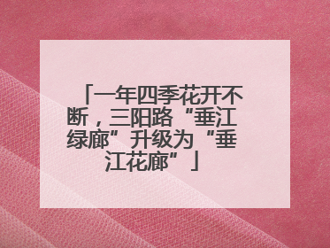 一年四季花开不断，三阳路“垂江绿廊”升级为“垂江花廊”