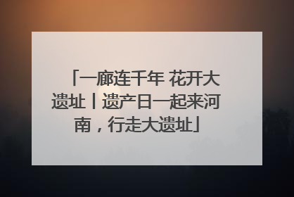 一廊连千年 花开大遗址丨遗产日一起来河南，行走大遗址