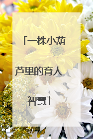 一株小葫芦里的育人智慧