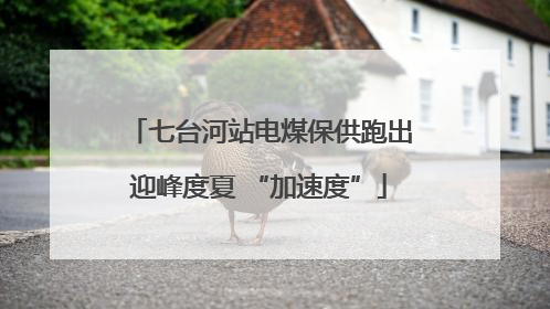 七台河站电煤保供跑出迎峰度夏 “加速度”