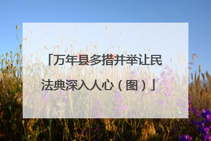万年县多措并举让民法典深入人心（图）