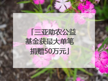 三亚助农公益基金获最大单笔捐赠50万元