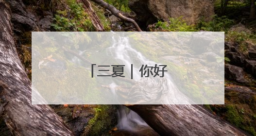 三夏｜你好，“麦客”