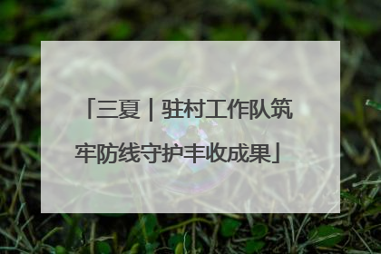 三夏｜驻村工作队筑牢防线守护丰收成果
