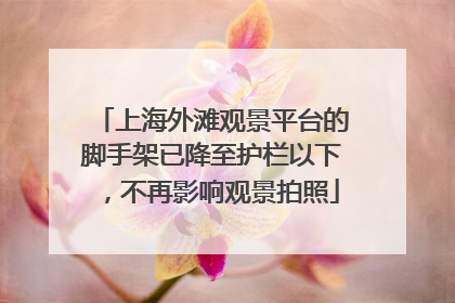 上海外滩观景平台的脚手架已降至护栏以下，不再影响观景拍照