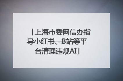 上海市委网信办指导小红书、B站等平台清理违规AI