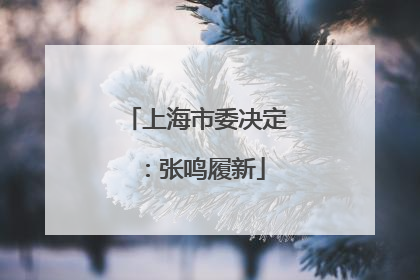 上海市委决定：张鸣履新