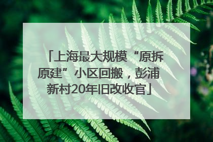 上海最大规模“原拆原建”小区回搬，彭浦新村20年旧改收官